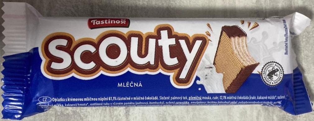 Фото - Scouty mlechna Tastino