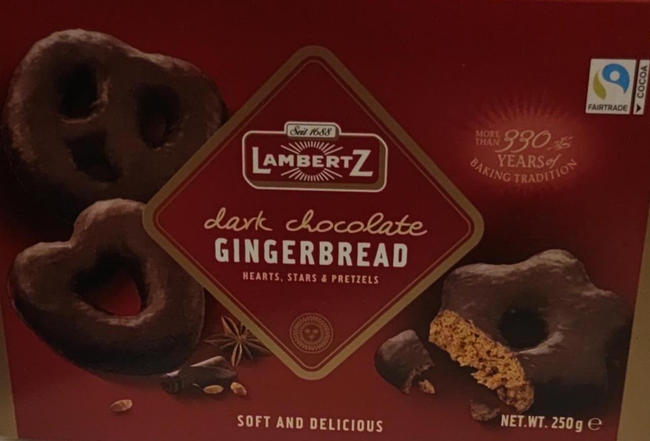 Фото - Dark chocolate gingerbread LambertZ