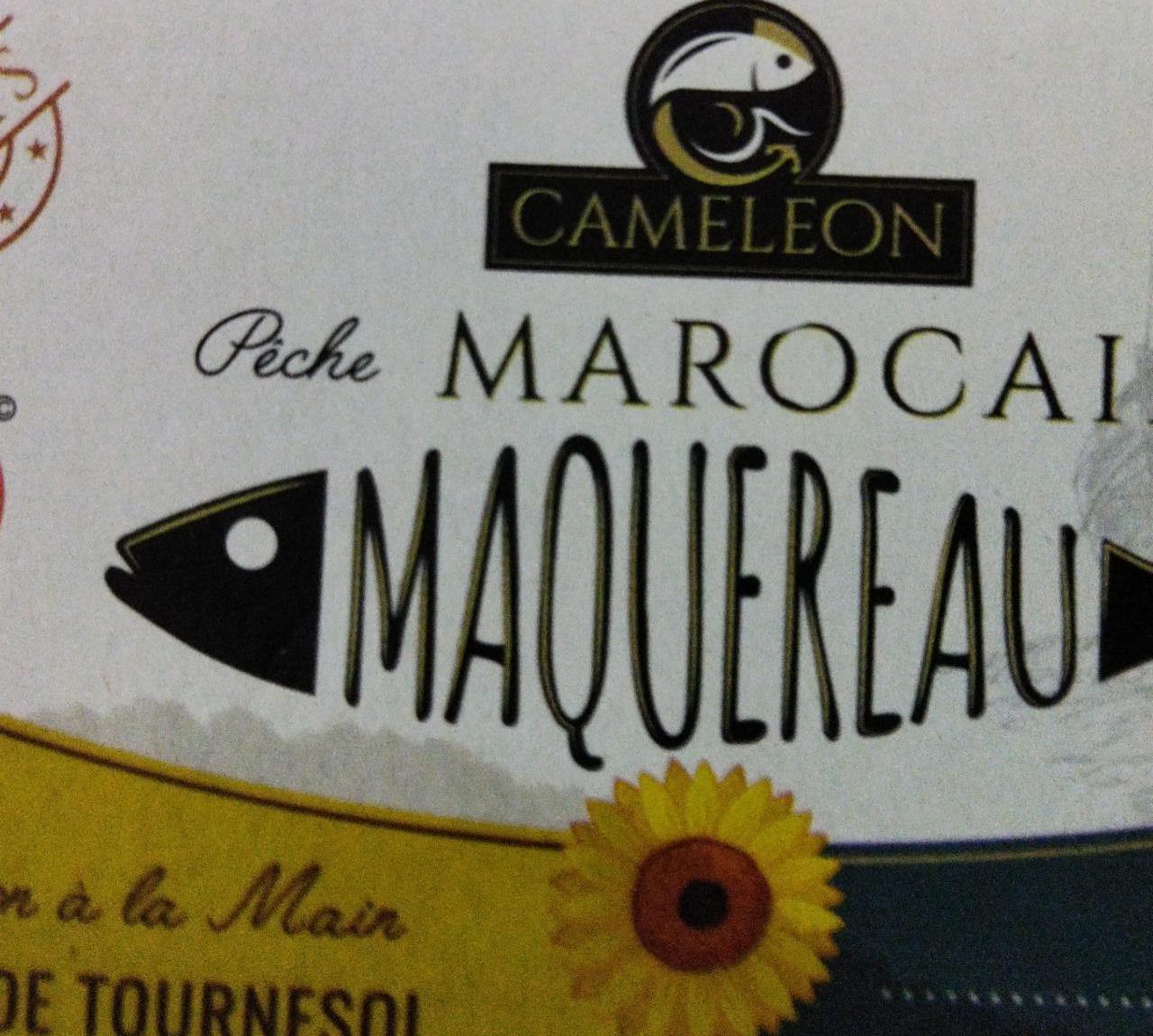 Фото - Riche marocain maquereau Cameleon