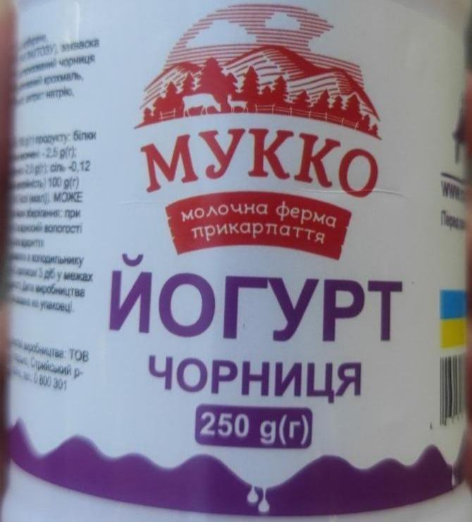 Фото - Йогурт 3.5% чорниця Мукко