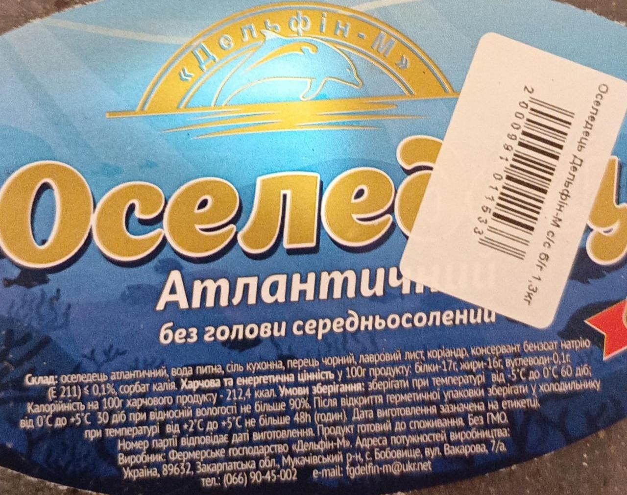 Фото - Оселедець атлантичний без голови середньосолений Дельфін-М