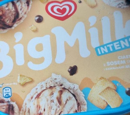 Фото - Lody smak ciasteczkowy z sosem czekoladowym Big Milk